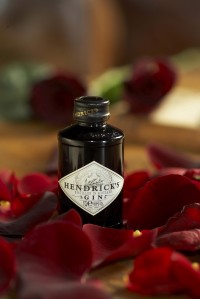 hendricks-and-roses