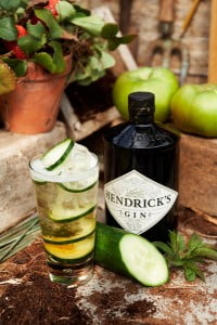 Hendricks Gin Garden_sm037