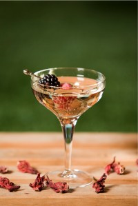 Beefeater Summer Martini