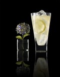 Almond Iced Tea