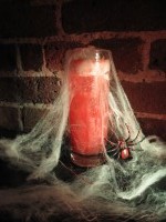 IMG_3583