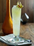 GIN GINA