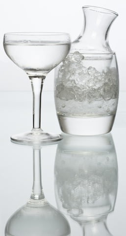 Naked Martini2