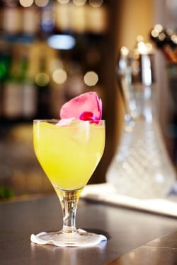 Bombay-Sapphire-Savoy-Punch1-250x375