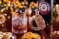 plymouth-gin-xmas-lwow-res-4