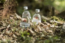 Caorunn_Foraging_091