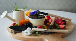 Edible garden