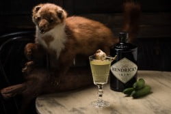 Hendrick's Marshmallow Punch - Mission Cocktail Bar