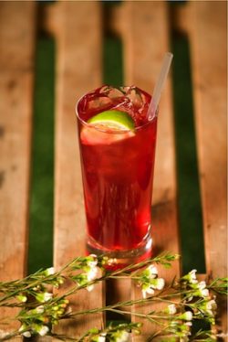 Beefeater Summer and Cranberry