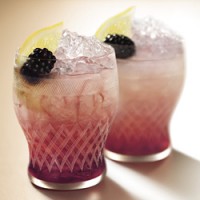 bombay-bramble Bombay Bramble