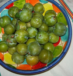 Greengage